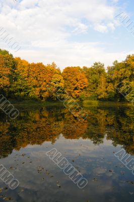 Autumn