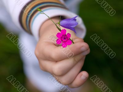 Flowers in child hand