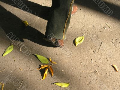 Walking