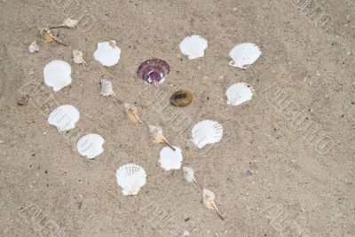 Seashell Heart