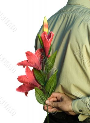 Hiding Flowers