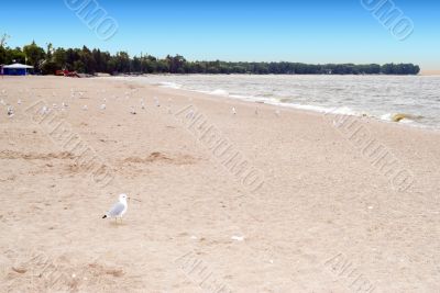 Sandy Beach