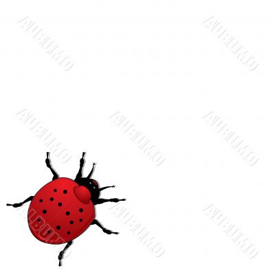 ladybird