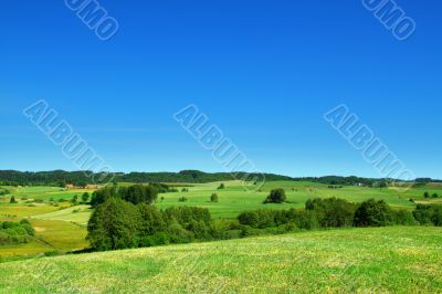 summer landscape