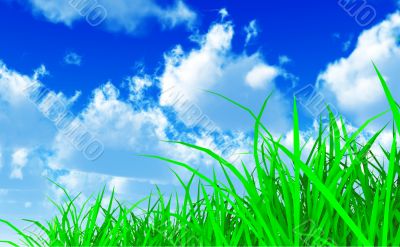 green grass