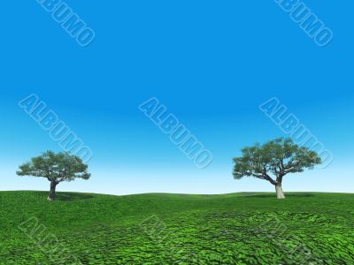 trees in the field