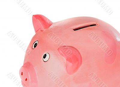 piggy bank pink