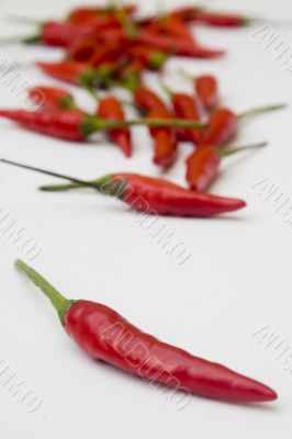 Chili peppers