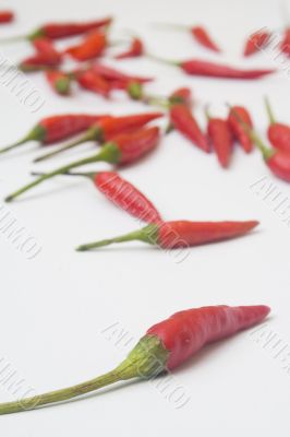 Chili peppers