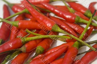 Chili peppers