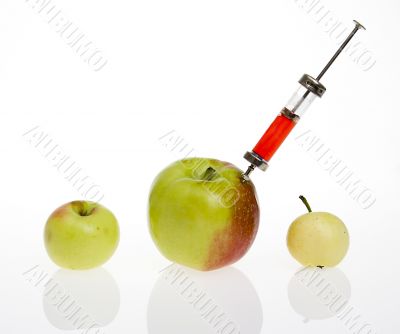 genetic modified food concept