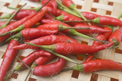 Red hot chili peppers
