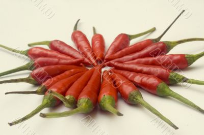 Chili  peppers against white background