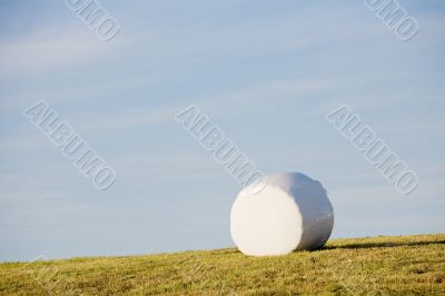 one roll of hay