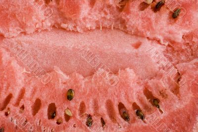 water-melon