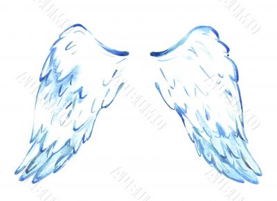 wings of the angel