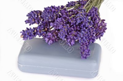 Blue Lavender Soap