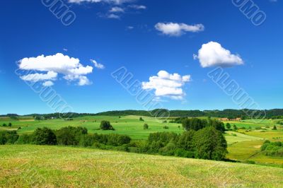 summer landscape