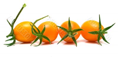 perfect yellow tomatoes