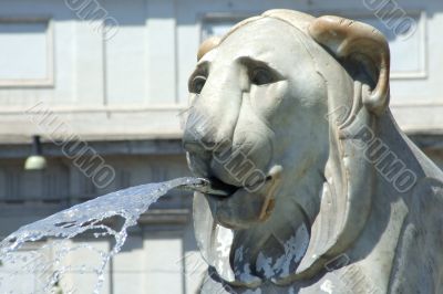 stone Lion water spitting  	 Fountain