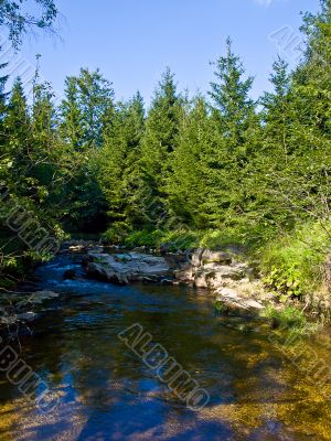 Mountain river