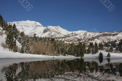Winter Reflections