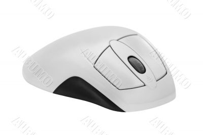 Wireless Mouse