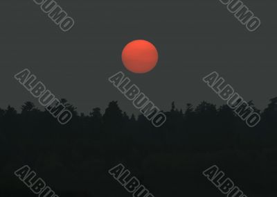 Sunset over the Forest
