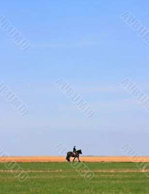 Lonely Rider