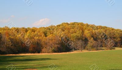 Colors of Autumn