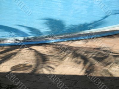 blue pool in a tropical setting