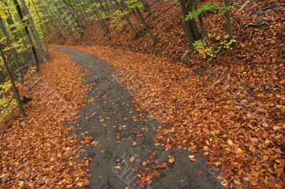Autumn