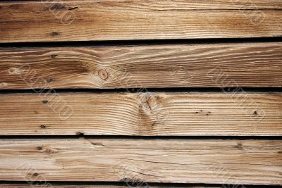 Wood