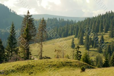 Landscape