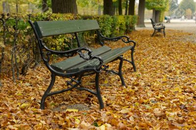 Bench