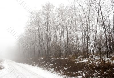 Fog