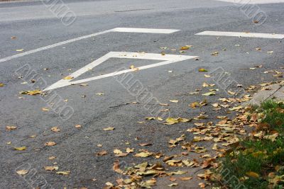 Road