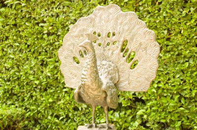 Bronze Bird