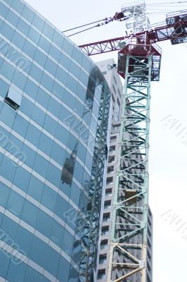 Crane