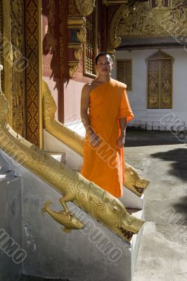 Buddhistic monk, , Luang Prabang, Laos