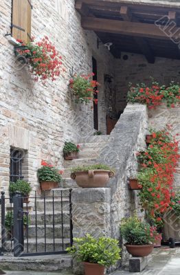 Old house near San Vincenzo al Furlo