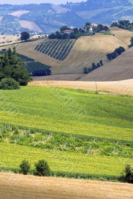 Marche - Landscape