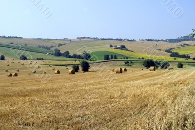 Marche - Landscape