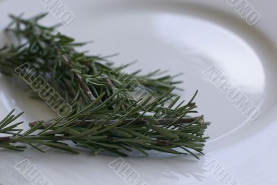Rosemary