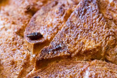bread pudding