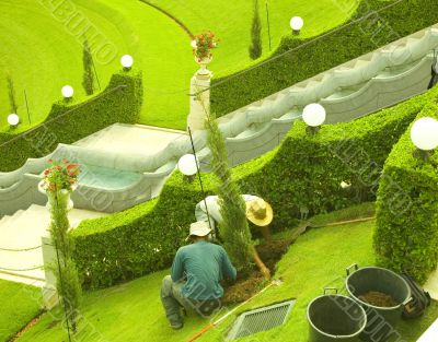 Gardeners