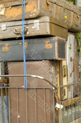 Trunk