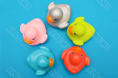 Five ducks plastic multi-colored