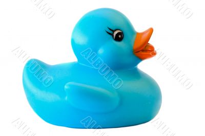 Blue plastic duck