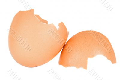 Photo of an broken egg shell